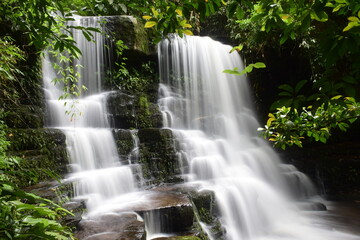 beautiful waterfall in the forest national park