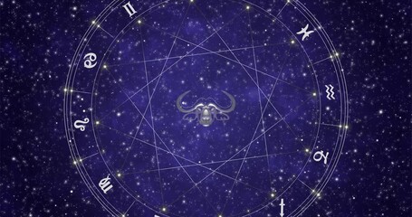 the signs of the zodiac horoscope wheel on dark star sky background animated loop 4k footage