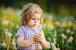 © Irina Schmidt - Adorable cute little baby girl blowing on a dandelion flower on the nature in the summer. Happy healthy beautiful toddler child with blowball, having fun. Bright sunset light, active kid.