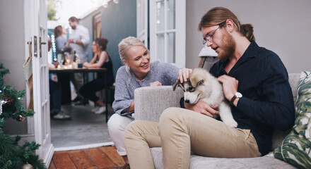 Wall Mural - Whats this little guys name. Shot of young friends petting an adorable husky puppy during a Christmas party at home.