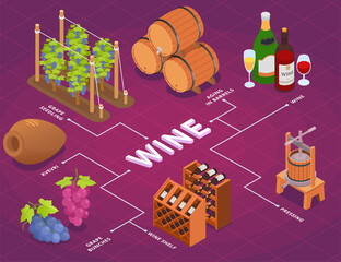 Wall Mural - Wine Production Flowchart