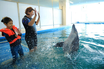 Wall Mural - grandmother and granddaughter in the pool swim with a gray dolphin 