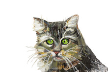Cat Painting Isolate. A Sad Gray Tabby Cat With Green Eyes. Gouache Portrait Carved On A White Background. Modern Painting. Handmade, Creative Illustration For The Design Of Packaging, Goods, Albums.