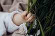 © Kirill - baby hand nature grass