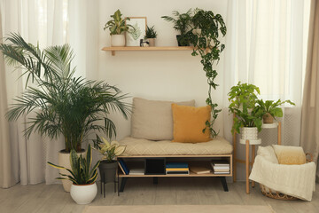 Wall Mural - Stylish room interior with beautiful houseplants and comfortable bench