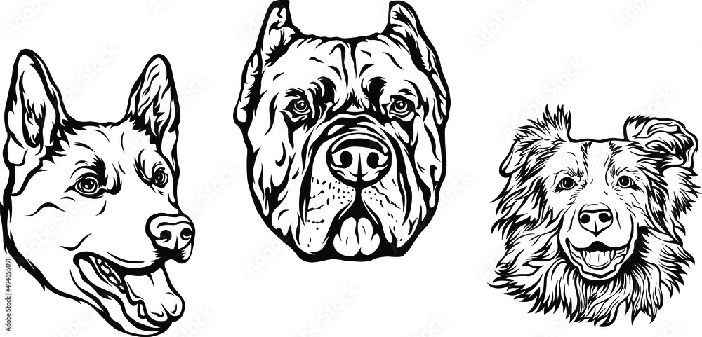 Hand drawn face of dogs. Black and white vector illustration mascot art ...