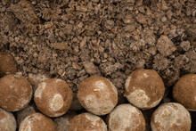 Effective Microorganisms Ball Nourish The Soil.