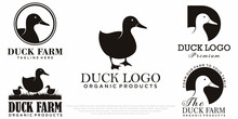 Duck Icon Set Logo Vector Illustration Design Template