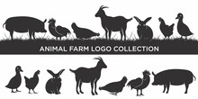 Set Of Livestock Farm Animal Logo Inspiration, Vector Illustration.