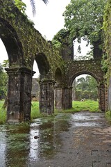 Wall Mural - abandoned vasai fort at maharashtra, india 