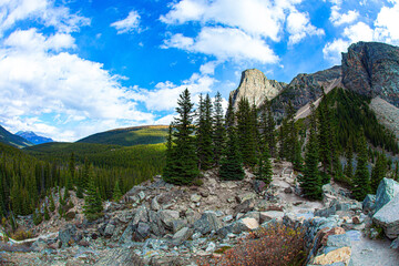 Wall Mural - Environs of the mountain lake Moraine