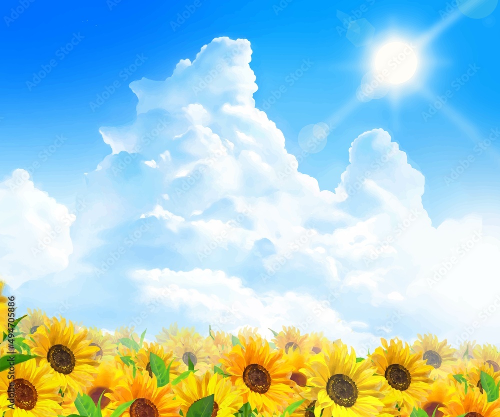 ★706★ 夏くじら ひまわり畑 ☆706☆ 夏くじら ひまわり畑