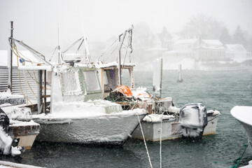 boats in the harbor