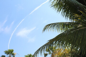 Wall Mural - Chem trail in the blue spring tropical sky