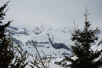 Wall Mural - Snow-capped mountains of the Pyrenees (1)