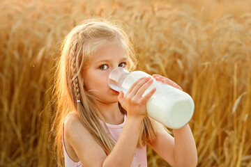 A large portrait of a girl in a wheat field at sunset. A child drinks milk from a glass bottle against the background of rye ears. Picnic in nature.