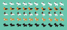 Dog Scottish Terrier Shiba Inu Toy Terrier Yorkshire Bull Walking Running Cartoon Vector Set