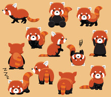 Various Red Panda Cute Characters Twelve Poses Cartoon Vector