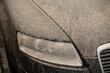 a car in germany polluted with sand from the sahara