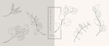 Wedding Logo Vector Template. Botanical And Floral Logo Element. Borders And Dividers Frame Set. Hand Drawn Leaves Branch, Herb,flower, Rose. Beauty And Fashion Frame Design For Logo And Invitation.