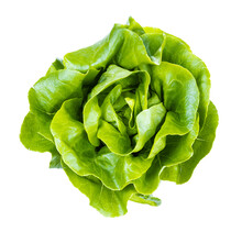 Top View Of Fresh Head Of Boston Round Lettuce Isolated On White Background