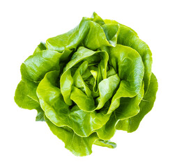 top view of fresh head of boston round lettuce isolated on white background