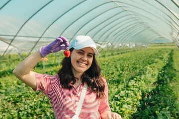 Wall Mural - woman gathering strawberries at the farm