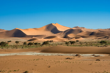 Canvas Print - Namibia, the Namib desert