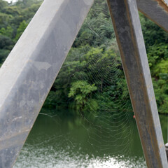 Closeup shot of a spider's net on a bridge against a lake and green forest