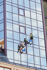 Wall Mural - Industrial mountaineering workers washing glass windows of high-rise building, hanging on safety climbing ropes. Two men window cleaners working together outside skyscraper.