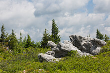 Scenic View Of Mountains In The Bear Rocks In Dolly Sods Wilderness Area, WV