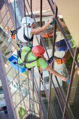 Wall Mural - Industrial mountaineering workers washing glass windows of high-rise building, hanging on safety climbing ropes. Men window cleaners in protective helmets cleaning skyscraper facade. Top view.