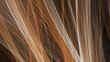 © HappyTime 17 - abstract line pattern texture color brown