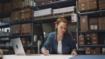 Wall Mural - Woman using laptop at warehouse
