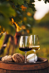 Wall Mural - Two glasses of white and red wine with snacks on an old barrel in the vineyard