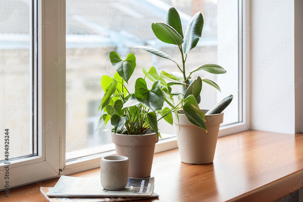 Green houseplants, candle and magazines on window sill