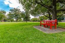 Beautiful Red Bench In A Green Park