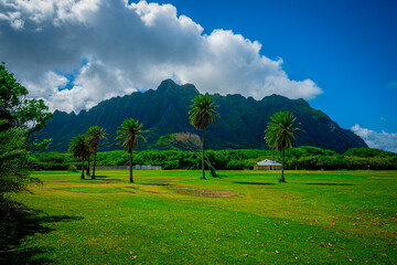 Beautiful view of mountains and palm trees in Ahupua'a 'O Kahana State Park, Oahu Hawaii