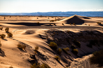 Wall Mural - Sand dunes in the desert of southern Jordan