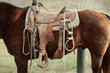 © Ursula Page - A close up image of a western saddle on a work horse on a ranch or farm with a vintage feel