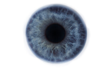 iris of a blue clean human eye