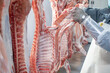 close-up of meat processing in the food industry, the worker cuts raw pig, storage in refrigerator, pork carcasses hanging on hooks in a meat factory
