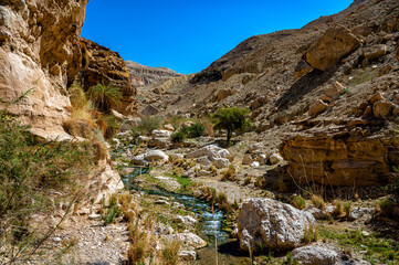 Wall Mural - Wadi  Bin Hammad, Moab Plateau, Jordan.