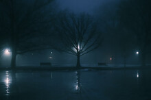Landscape Of Trees And Benches In A Park Covered In The Fog During The Rain At Night