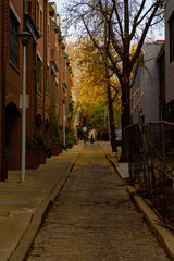 Vertical shot of an alley between two residential buildings in autumn