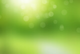 Fototapeta  - Blurred bokeh background image of light green foliage