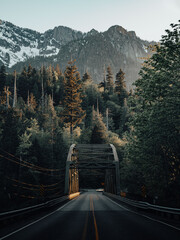 Wall Mural - Vertical shot of a long road through rural mountain areas in Washington