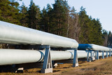 Fototapeta Łazienka - pipeline, in the photo pipeline close-up against a background of green forest and blue sky.