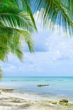 Travel Background With Caribbean Sea And Palm Leaves .