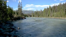 Large Mountain River Tumbles Over Rapids Surrounded By Green Evergreen Forest With Mountains In The Distance And A Blue Sky With White Clouds.
